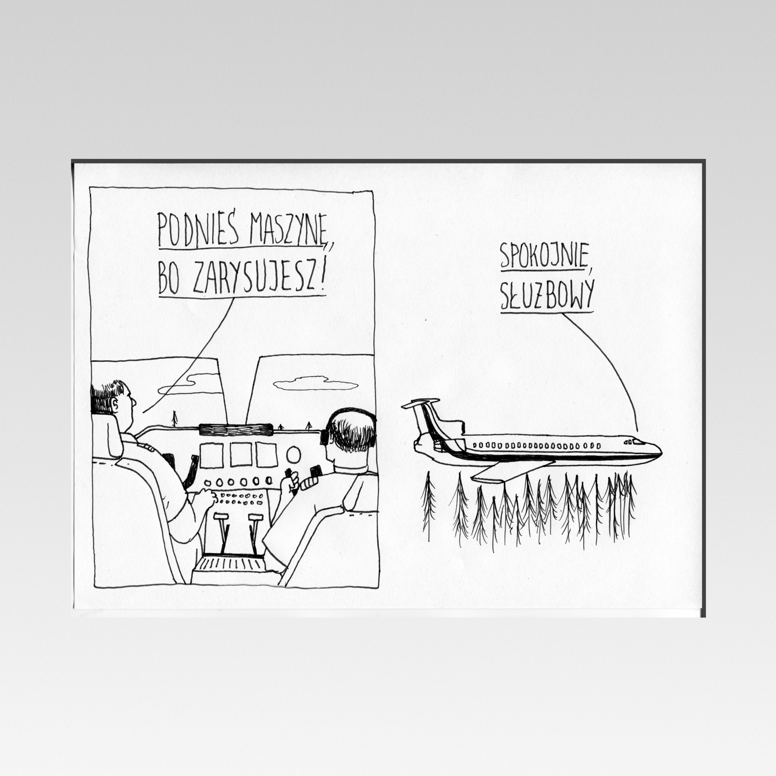 "Służbowy samolot" (2018)